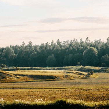 Scan Sverige förvärvar Lindvalls Chark AB